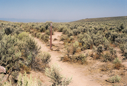 [A field of sagebrush plants except for a narrow dirt path. There is a brown post marking the trail.]